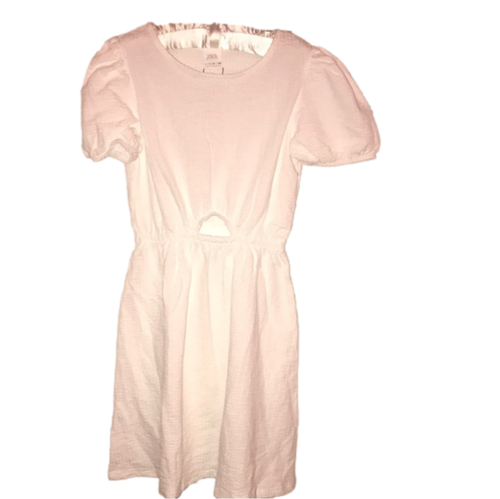 NWT Zara Dress ✅